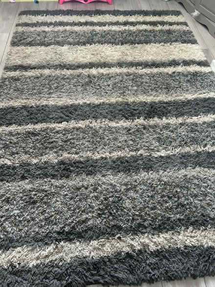 Photo of free Rug (S6) #1