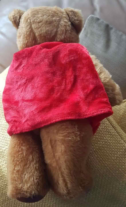 Photo of free A Bear (Seaside BN22) #1