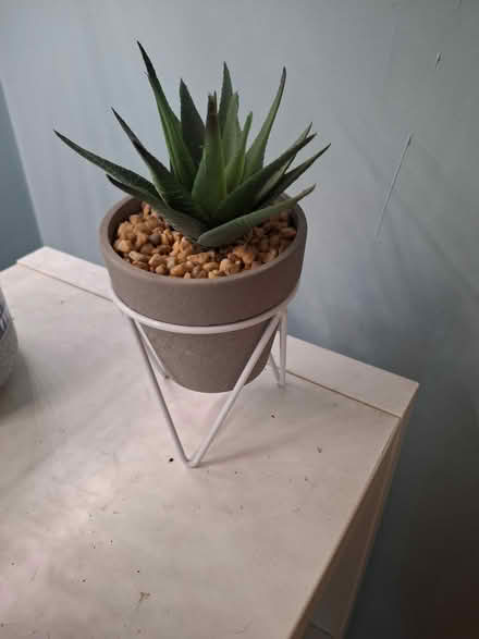 Photo of free Artificial plants in pot (DA11) #1