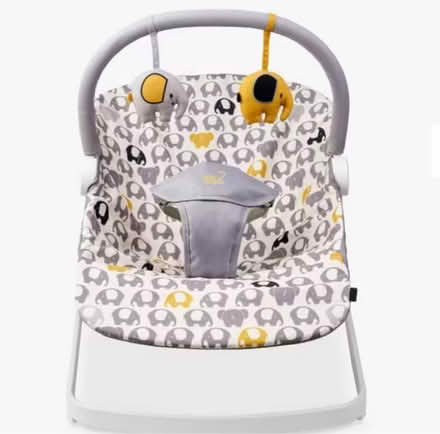 Photo of Baby bouncer (Norwich) #1