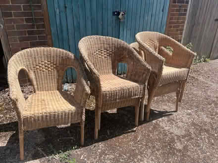 Photo of free 5 wicker chairs (Honor Oak SE23) #1