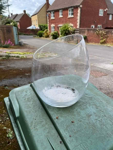 Photo of free Cacti bowl (Dursley) #1