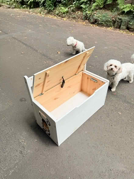 Photo of free Toy Box Childs Seat (Chester CH4) #3