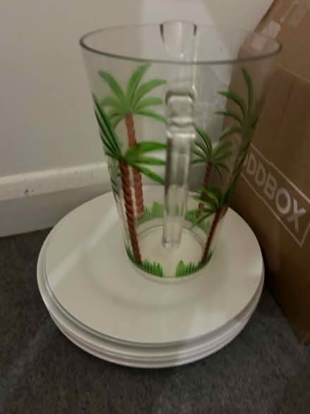 Photo of free Plates and 2 Litre plastic jug (TN4) #1