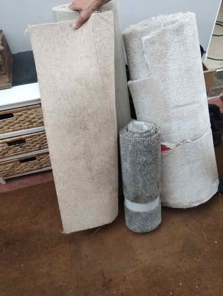 Photo of free Carpets (Much Cowarne HR7) #2