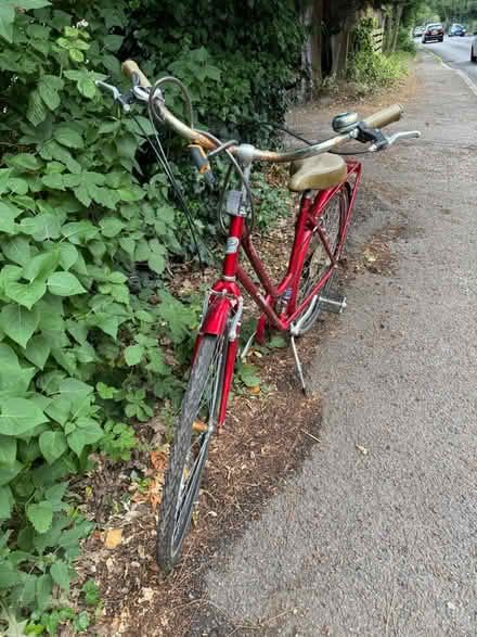 Photo of free Ladies bike (Lower Sunbury) #1