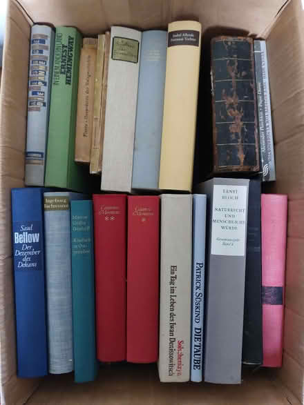 Photo of free 3 boxes of vintage German-language books (Seven Dials BN1) #1