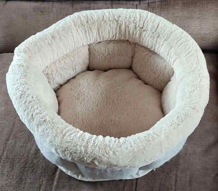 Photo of free Cat/Small dog bed (Pontesford SY5) #2