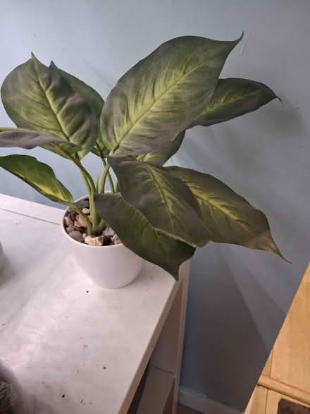 Photo of free Artificial plants in pot (DA11) #2