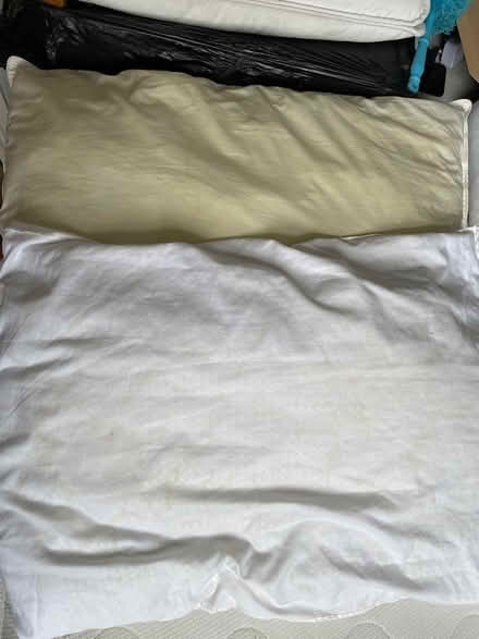 Photo of free 2 pillows (Whetstone N20) #1