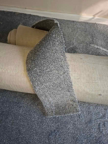 Photo of free Brand new carpet (St Nicholas SG1) #1