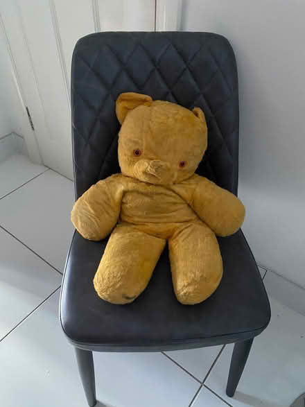 Photo of free Large Teddy (Woodford IG8) #1