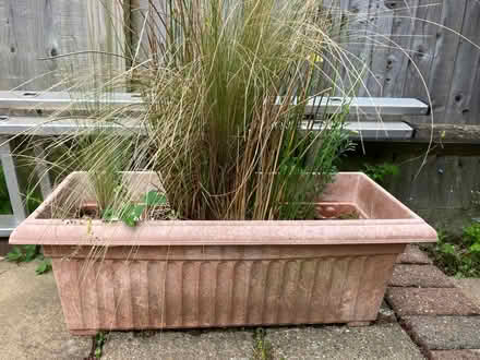 Photo of free Plant trough / planter (Kings Hill ME19) #1