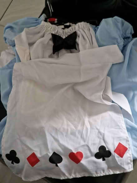 Photo of free Alice in Wonderland Dress up Outfit (Bradford 2 off Bolton Junction) #1