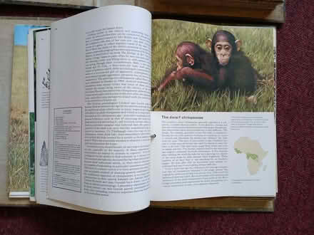 Photo of free World of Wildlife magazines (Cherry Orchard SY2) #1