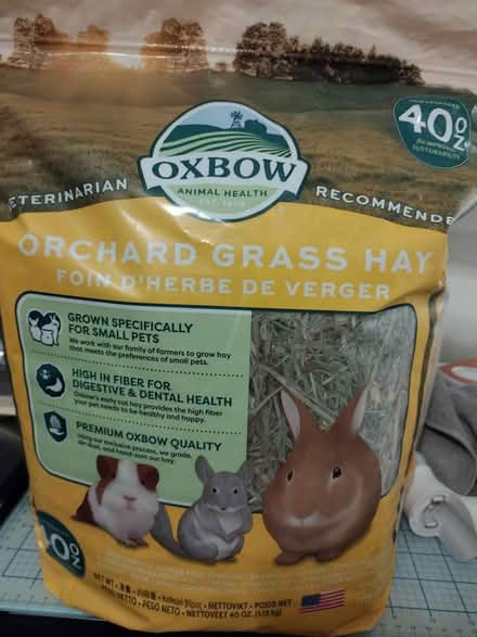 Photo of free Guinea Pig, hay, supplies & treats (Virginia Manor) #1