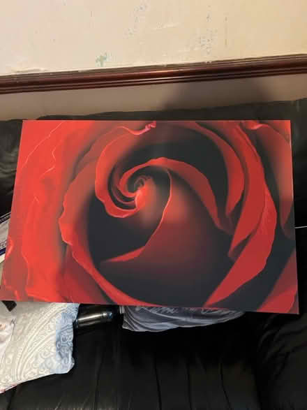 Photo of free Rose picture (Blacon CH1) #1