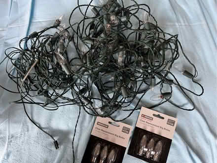 Photo of free Outdoor lights (Moseley B13) #1