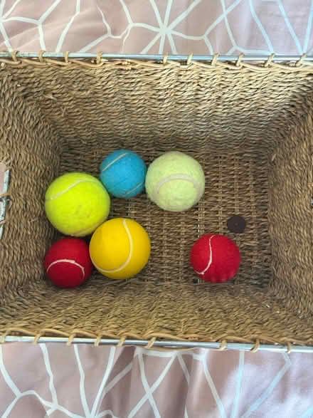 Photo of free Selection of balls (Maidenhead SL6) #1