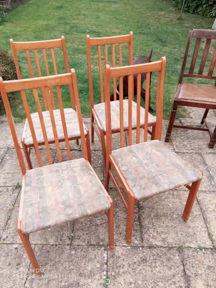 Photo of free Set of 4 dining chairs (Belmont SL6) #1