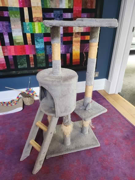 Photo of free Cat tower (Letchworth) #1