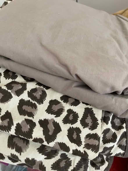 Photo of free Animal print duvet cover, 2 x pillow cases, fitted sheet (Heysham LA3) #2