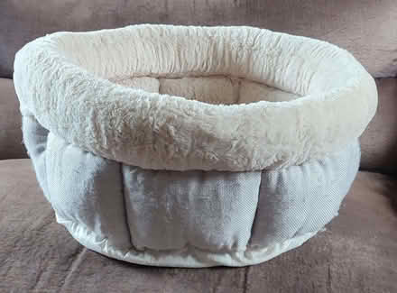 Photo of free Cat/Small dog bed (Pontesford SY5) #1