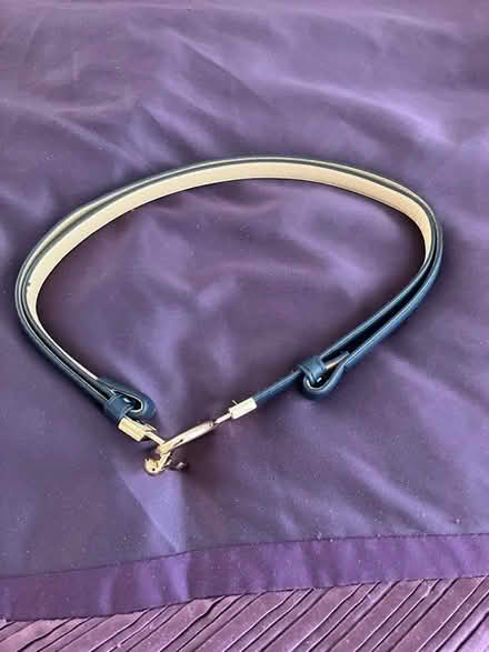 Photo of free Ladies narrow dress belt (Wivenhoe CO7) #3