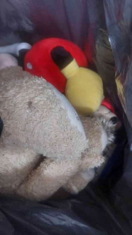 Photo of free 2 bags of teddies and toys (West bromwich) #1