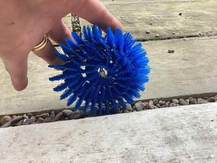 Photo of free Blue things - pond related maybe? (Swainshill HR4) #1