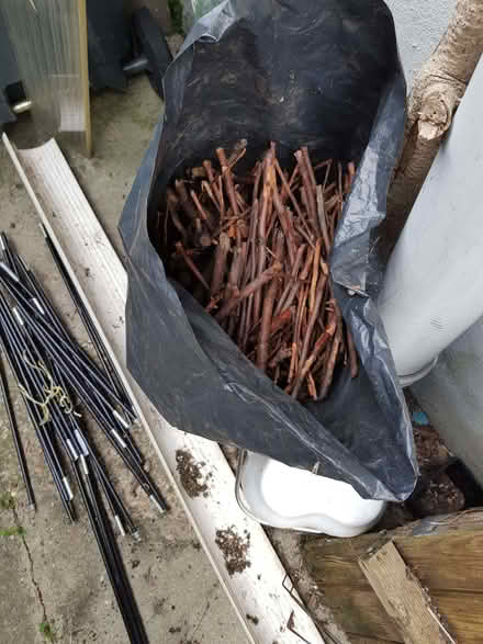 Photo of free Large bag full of kindling (Eastbourne BN21) #1