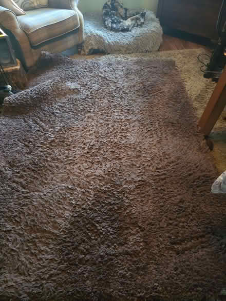 Photo of free Brown teddy rug (Nutgrove WA9) #1