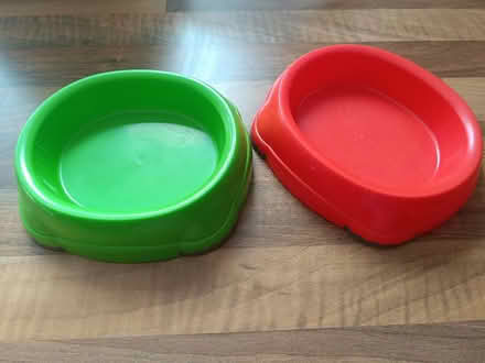 Photo of free Cat items (Ashingdon SS4) #2