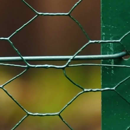 Photo of Wire Mesh (toxteth L8) #1