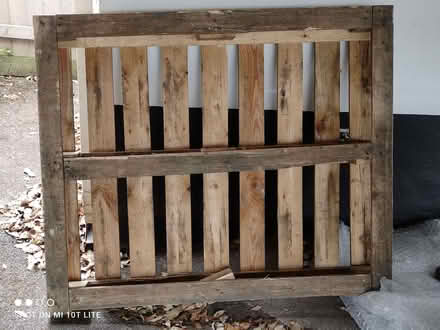 Photo of free Wooden pallet (Saint Leonards Ward EX2) #1