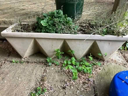 Photo of free Plant trough (Kings Hill ME19) #1