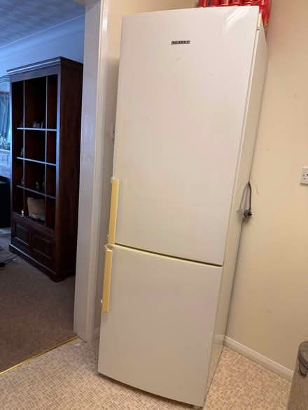 Photo of free Fridge Freezer (Moulsham CM2) #1