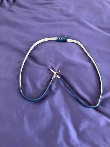Photo of free Ladies narrow dress belt (Wivenhoe CO7) #2