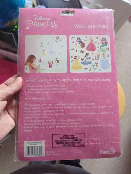 Photo of free Disney princess wall stickers (Temple Rhydding BD17) #2