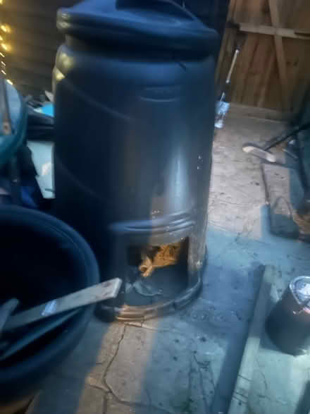 Photo of free Compost bin (Pitsea) #1