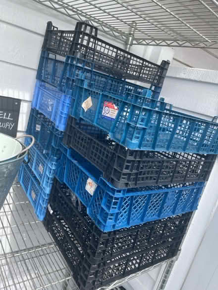 Photo of free Mushroom Trays (Hatfield Peverel CM3) #1