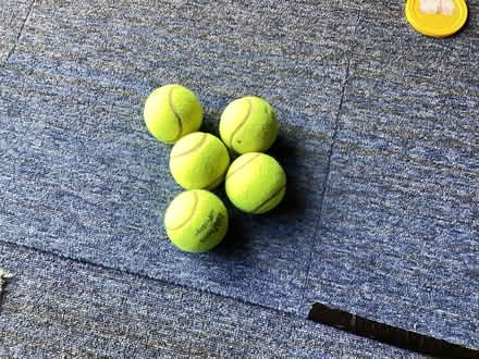 Photo of free 5x old tennis balls (Swainshill HR4) #2