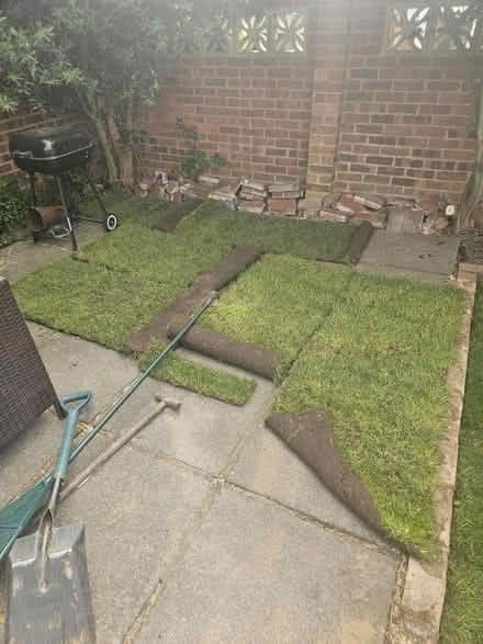 Photo of free 6m2 of rolled turf (BR8) #1