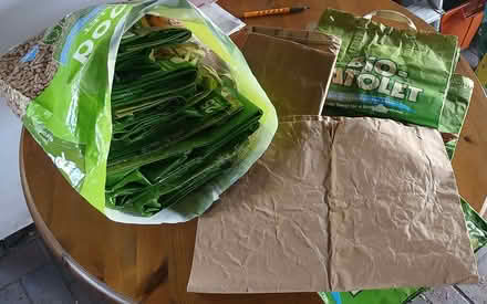 Photo of free Large Paper Bags (Okus SN1) #1