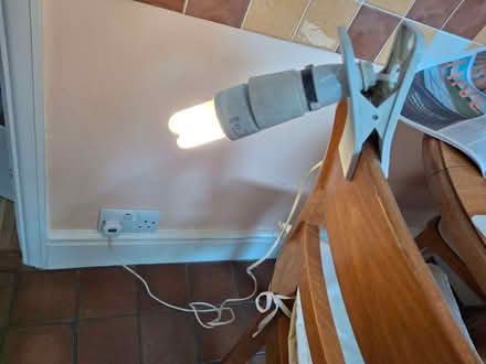 Photo of free Inspection lamp (Headington OX3) #1