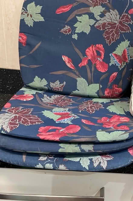 Photo of free Garden chair pads/rug (Sole Street) #1