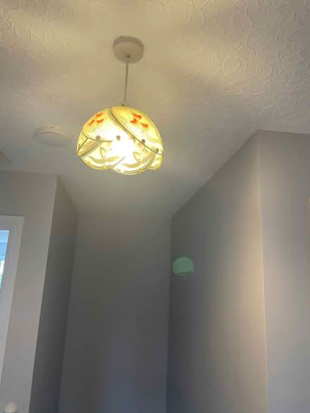 Photo of free 2 small lampshades (Wythop Mill CA13) #2