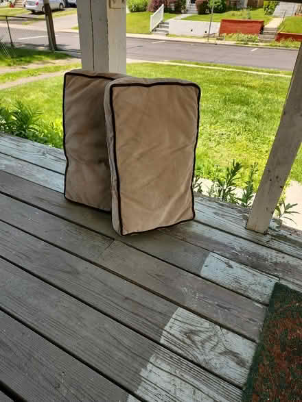 Photo of free Chair Cushions/Upholstery Foam (Ambler) #3