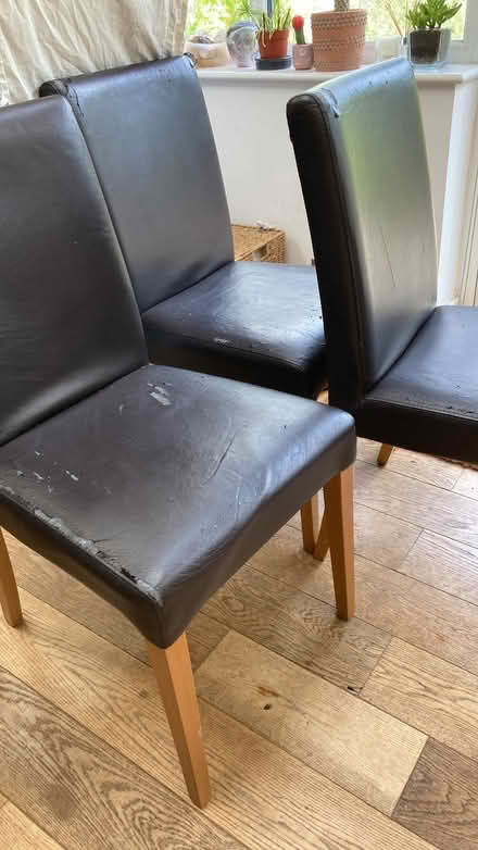 Photo of free 8 x Dining chairs (Purley CR8) #1