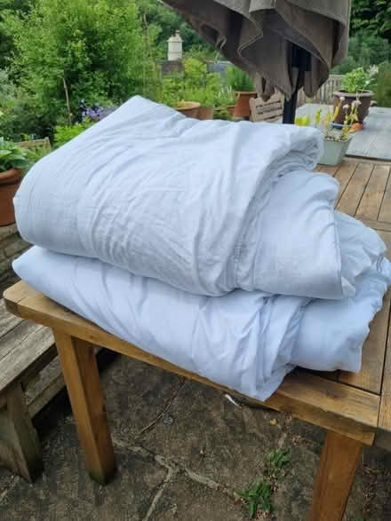 Photo of free 2 clean single duvets (Chalford GL6) #1